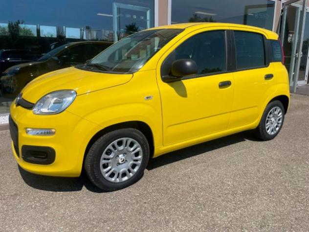FIAT Panda 1.0 FireFly S&S Hybrid Pandina rif. 23992882 - Foto 3