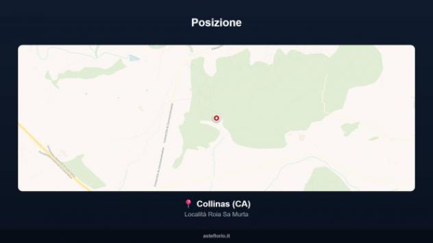Immobile in asta di 200 m² in vendita a Collinas - Foto 10