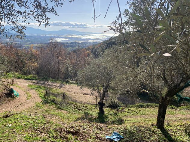 Terreno agricolo di 10.000 mq c,a - Foto 6