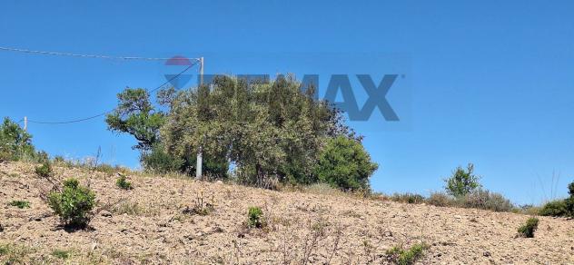 Terreno in vendita a Noto - Foto 7