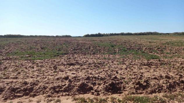 Seminativo in vendita a Sassari - Foto 6