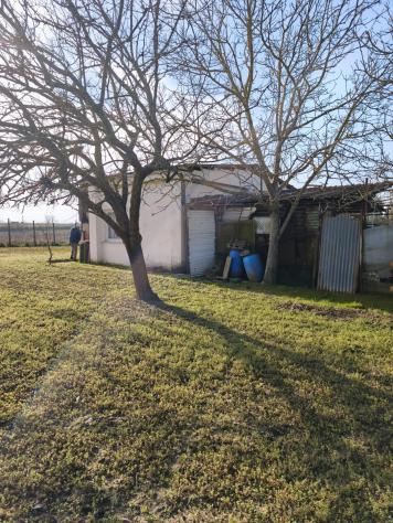 Annesso agricolo in vendita a Pontedera 1200 mq Rif: 1395667 - Foto 7