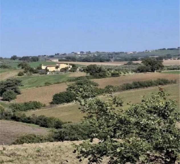Immobile in asta di 46600 m² in vendita a Montefalco - Foto 2