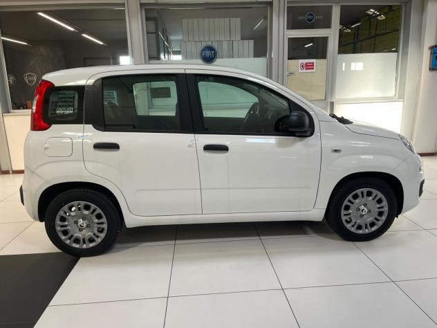 FIAT Pandina Pandina 1.0 firefly hybrid Icon - Foto 4