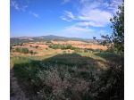 Azienda agricola in vendita a Pomarance 1500 mq  Rif: 1332097