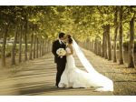 MUSICA animazione Matrimonio  Priverno Pontinia Sabaudia Terracina Sezze