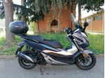 Honda Forza 300 - Tagliandato - Gommato -Tucano
