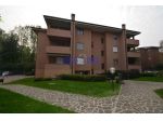 Arcore, trilocale in locazione