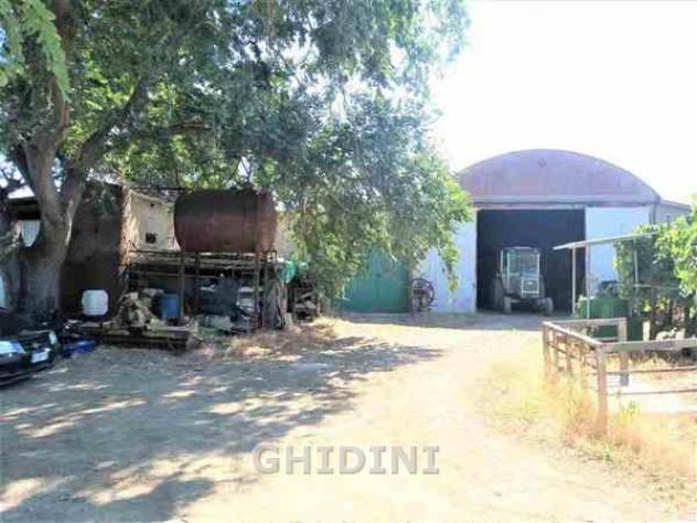 TERRENO AGRICOLO di 1 vani e di 60000 mq (GROSSETO) rif. 2210.137M - Foto 5