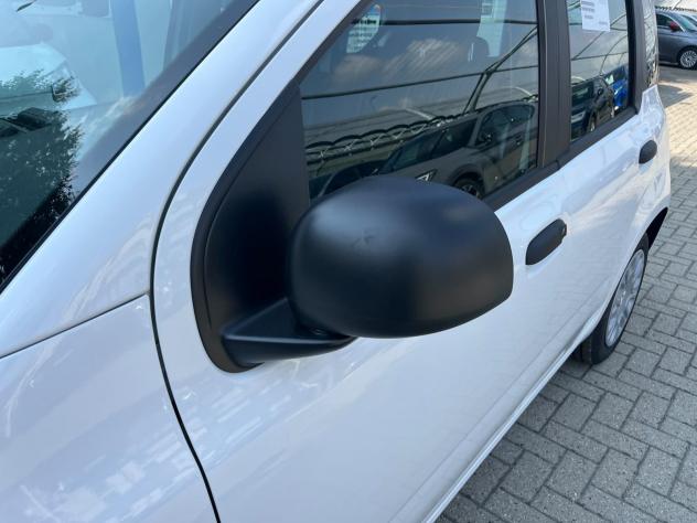 FIAT Panda Panda 1.0 firefly hybrid s&s Icon - Foto 4