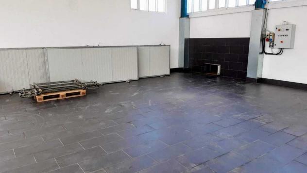 Capannone / Fondo in affitto a Mondavio - Foto 8