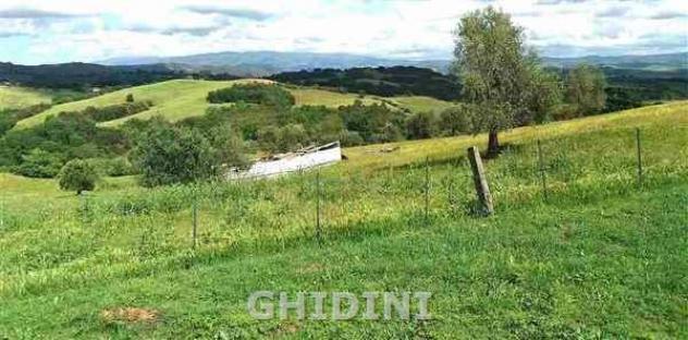 TERRENO AGRICOLO di 1 vani e di 1 mq (CAMPAGNATICO - CENTRO) rif. 2511.227M - Foto 5