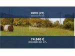 Immobile in asta di 40880 m² in vendita a Orte