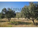 Terreno in vendita a Ramacca