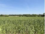 San Lazzaro di Savena - Vendesi terreno agricolo