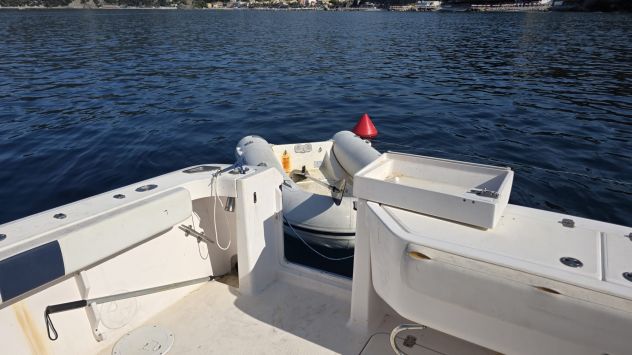 Splendido fisherman Pro-line 33 express flybridge - Foto 8