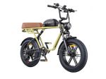 Engwe E-Bike M1 250W 48V 15.6Ah NUOVO
