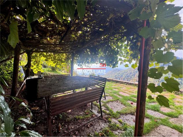 V000878 - CAPREZZO ALPE ORDARUSC , BAITA NEL BOSCO CON VISTA LAGO - Foto 8