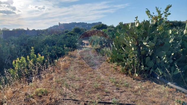Terreno in vendita a Paternò - Foto 16