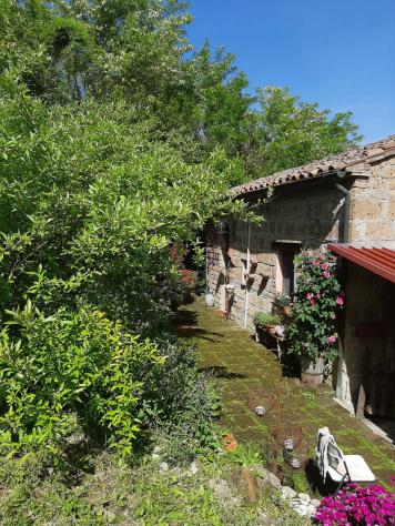 Nella frazione di Osteriola, nel comune di Proceno a pochissimi passi da San Giovanni delle Contee
vendiamo Immobile completamente ristrutturato libe