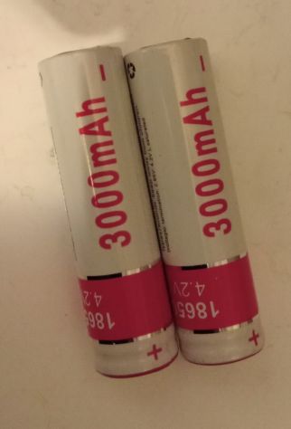 2 batterie 3000 mah 42V