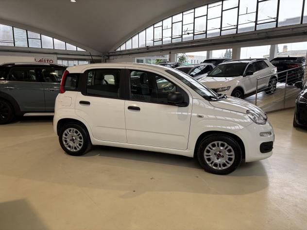 FIAT Panda 1.0 FireFly 70cv S&S Hybrid TUA A 237,00 AL MESE - Foto 4