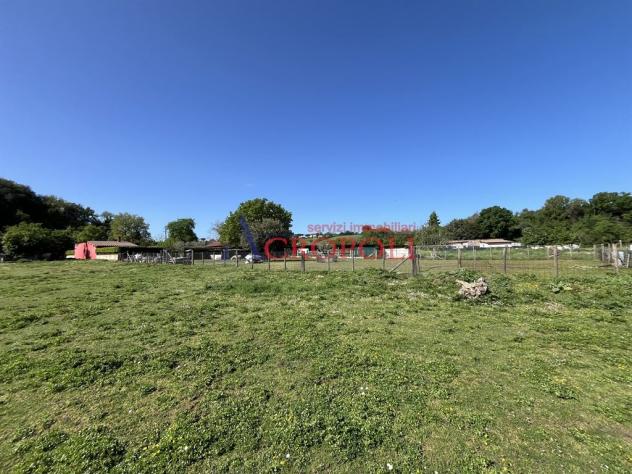 Terreno di 2300 mq in località Mola Vecchia - Foto 6