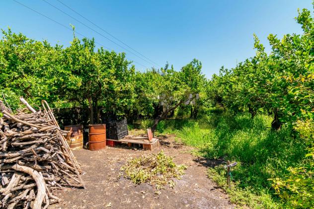 Terreno in vendita a Santa Venerina