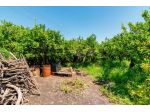 Terreno in vendita a Santa Venerina