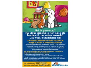 Pensione casalinga per i vostri animali a Roma