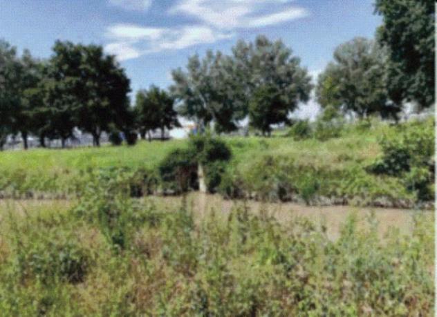 Immobile in asta di 806 m² con più di 5 locali in vendita a Casale di Scodosia - Foto 7