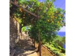 Casa Orrico – Blue Grotto