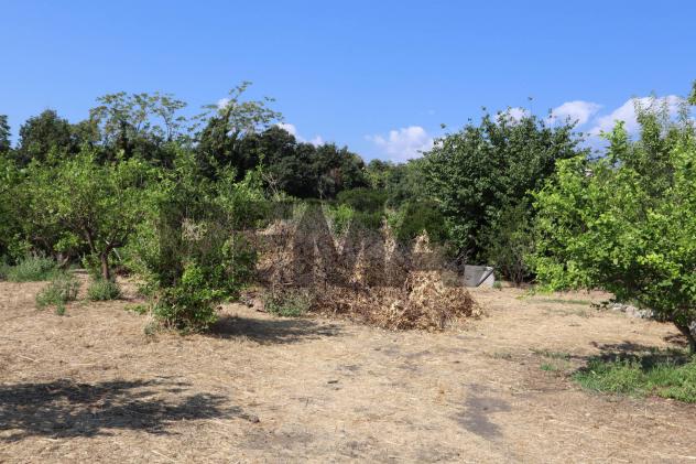 Terreno in vendita a Mascali, Santa Venera - Foto 8