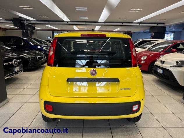 FIAT Panda 1.0 FireFly S&S Hybrid POP KM0 PROMO rif. 23776905 - Foto 6