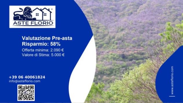 Immobile in asta di 1770 m² in vendita a Itala