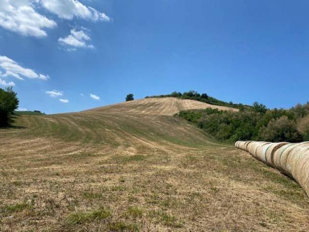 Terreno agricolo in Vendita in zona GHIZZANO con giardino - Foto 4