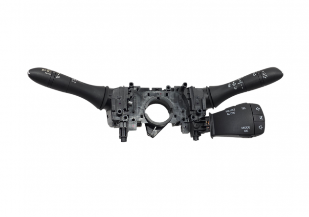 DEVIOLUCI RENAULT Kadjar Serie 255678341R (15)