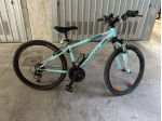 Bicicletta Bambino