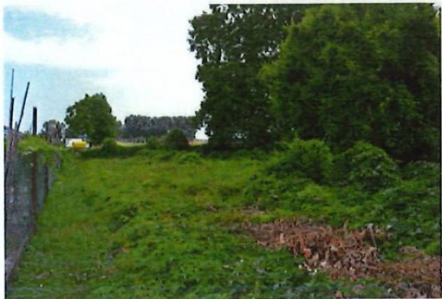 R.G.E. 78/2025 Verona - Foto 12