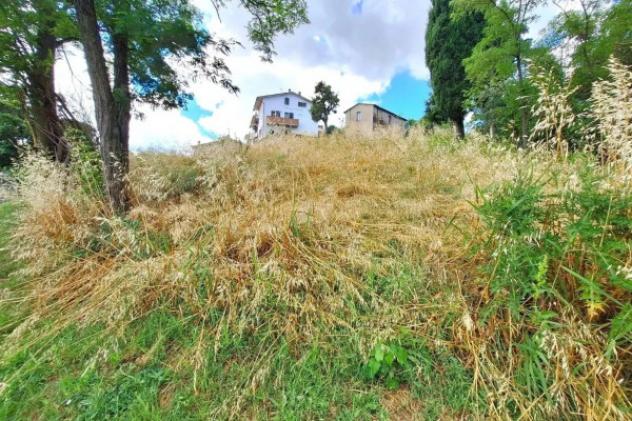 Immobile in asta di 904 m² in vendita a Meldola - Foto 2