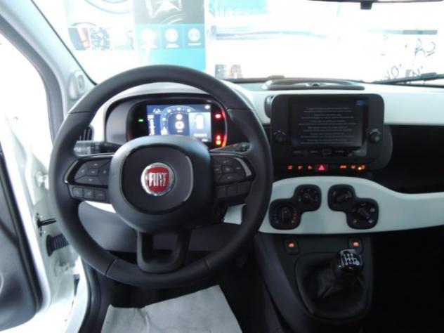 FIAT Panda Cross 1.0 FireFly Hybrid rif. 23388017 - Foto 8