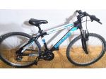 Bici in alluminio sovrano ammortizzata 24
