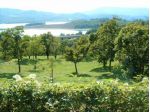 Agricolo in vendita a Barberino di Mugello