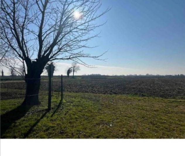 Immobile in asta di 20379 m² in vendita a Due Carrare - Foto 3