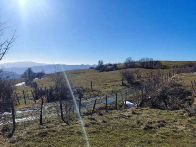 Immobile in asta di 130855 m² in vendita a Verghereto - Foto 3