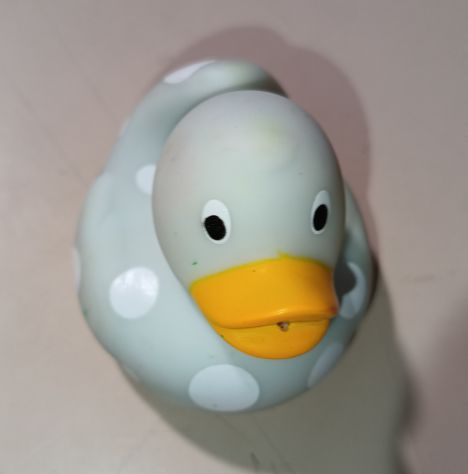 Paperella plastica