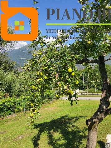 V000565 - ESCLUSIVA TENUTA CON TERRENO - POTENZIALE B&B - Foto 8