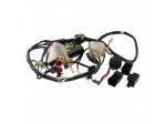 Impianto elettrico Honda Pantheon - 32100KEY900