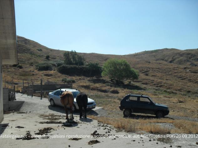 R.G.E. 18/2009 Enna (ex Nicosia) - Foto 14
