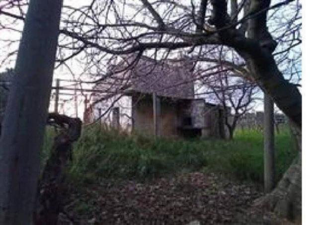 Immobile in asta di 155604 m² in vendita a Francavilla Fontana - Foto 5